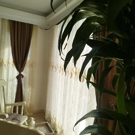 Sky 19th Floor Twin & 12th Floor & 25th & 33 Floor & With Pool & & Gym & Parking Included In Price
